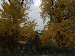 -圆通寺