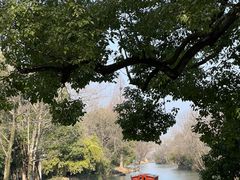 -西溪国家湿地公园