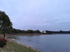 -丁香湖公园