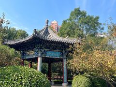 -迎泽公园