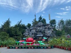 -上海海湾国家森林公园