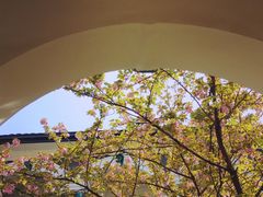 -湖南省立第一师范学校旧址