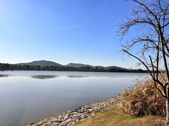 -羊山湖公园
