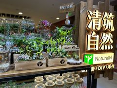 -凯德MALL(望京店)