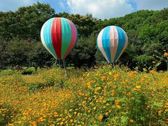 -苏州上方山国家森林公园