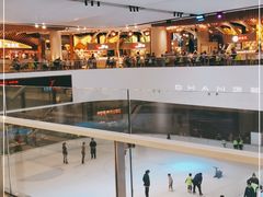 -TheRink大零溜冰场(IFS国金中心店)