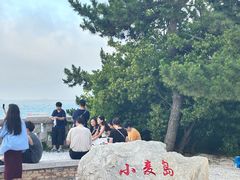 -小麦岛公园