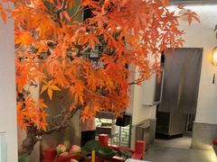 -荷塘秋月·本帮江浙菜(国权路店)