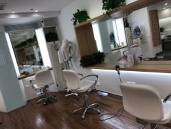 大厅-THE LOG SALON 记录