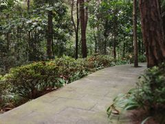 -铁山坪森林公园