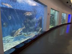 -上海长江河口科技馆