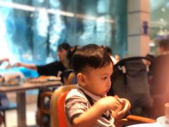 -帝企鹅自助餐厅•儿童岛•真企鹅(长隆企鹅酒店)