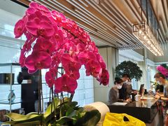 -上海佘山世茂艾美酒店