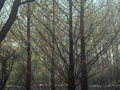 -仁和公园(顺义区)