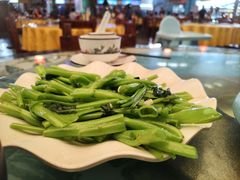 -四姑娘川味海鲜(八爪鱼店)