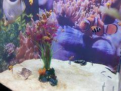 -烟台海昌鲸鲨海洋公园