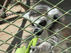 -水上乐园·欢乐世界