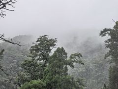 -华夏良子·足道SPA艾灸(龙潭路店)