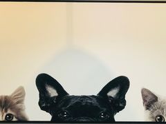 -吃饼人西餐(南开店)