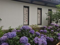 -无锡蠡湖国家湿地公园-蠡园