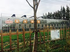 -上海长兴岛郊野公园