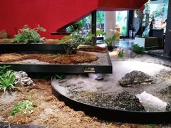 -雅苑中餐厅