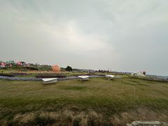 -空港花田景区