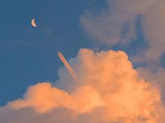 -小六汤包·老字号·中华名小吃(公园南路店)