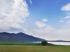 -羚羊峡古栈道森林公园