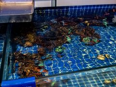 -今鲜源大酒店·中华餐饮名店(新湛路店)