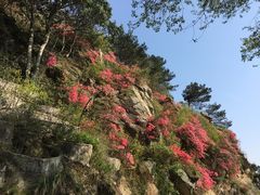 -木兰云雾山