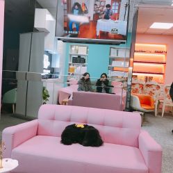 -斐尔国际皮肤管理中心