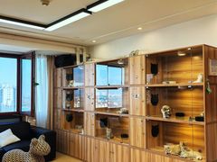 -猫十亿·布偶金渐层·曼基康矮脚猫舍(青年路店)