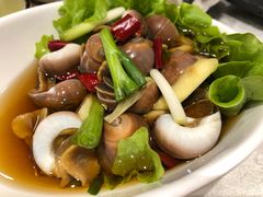 -启东海鲜人家(古美路店)