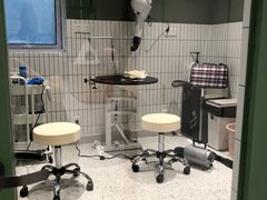 -電力宠物公司(武定路店)