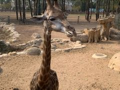 -大连森林动物园