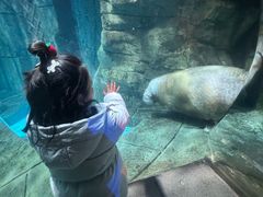 -哈尔滨波塞冬海底世界