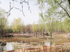 -东郊湿地公园