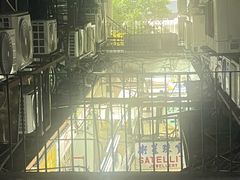 -珍妮曲奇聪明小熊(尖沙咀店)