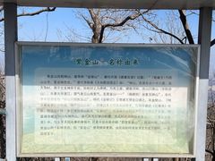 -头陀岭景区