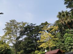 -炮台山公园