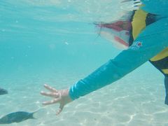 -东姑阿都拉曼海洋公园