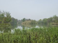 -西溪国家湿地公园