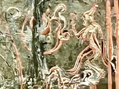 -仪征博物馆