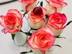 -虹御轩·传承江浙菜(虹桥店)