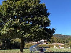 -广州市石门国家森林公园
