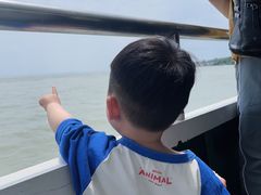 -巢湖姥山岛