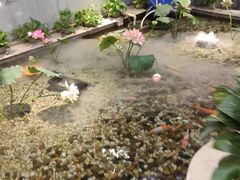 -合和大唐(福永店)