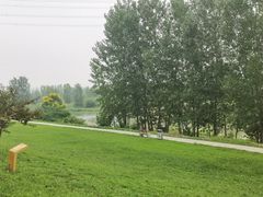 -洨河生态公园