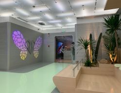 点击看大图 -纯粹医美